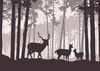 Realistic illustration of mountain landscape with coniferous forest under sky with haze. Deer, doe and little deer standing and looking into valley, retro vector