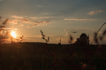 sunset in the forest