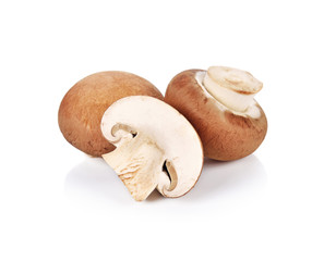 Brown champignon mushroom and rosemary leaves isolated on