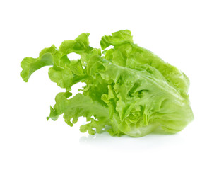 Lettuce Salad Isolated On White