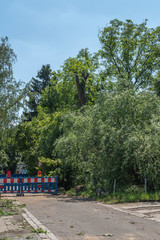The remains of a fallen tree after a heavy thunderstorm in Berlin, Germany. The road is still closed because branches block the road.