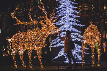 Christmas decorations in the streets of Helsinki, with evening light illumination, concept of...