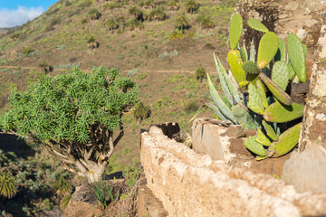 Irrigation canal for watering terraced fields in the mountains of the island of La Gomera