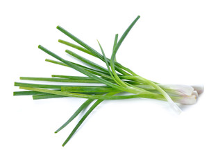 Fototapeta premium Green onion isolated on the white background