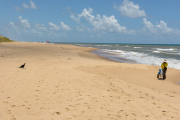 The coast of Sauipe on Bahia, Brazil