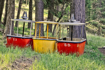 Tram cars that have been replaced sit out in the woods