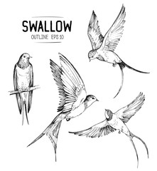 Sketch of a flying swallow. Hand drawn illustration converted to vector © aksol