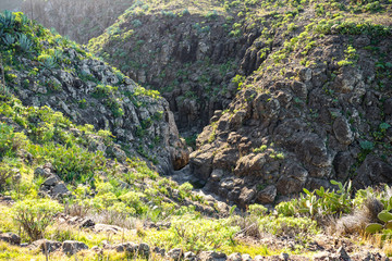 From whitewater formed creek bed in the Argaga canyon on the island of La Gomera