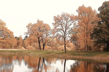 autumn landscape / yellow trees in autumn park, bright orange forest