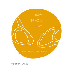 Nuts and Seeds vector line design