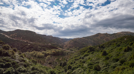 Naklejka premium Beautiful View from a Train