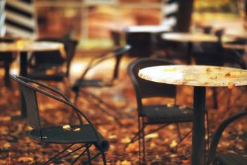landscape bench in autumn park / October landscape in yellow park, autumn background