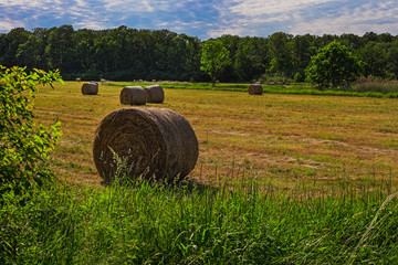 HDR Photo of Sraw Bales on the field with clouds and blue sky.