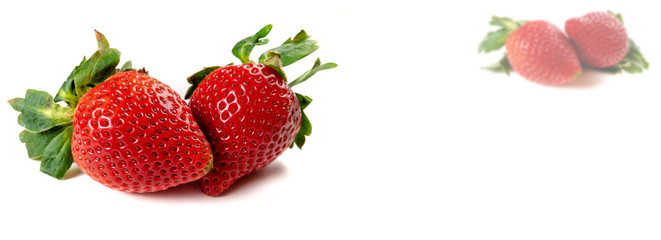 Strawberry on white background. Summer berry background. Fresh strawberry for healthy food and diet. Long format for banner with copy space