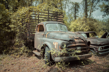 Obraz na płótnie Canvas Roadside rusted old Ford trucks and cars in Florida
