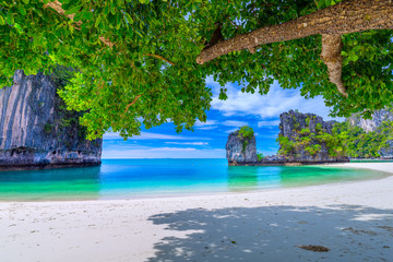 Hong Islands,Beautiful tropical sandy beach and lush green foliage on a tropical island ,thailand