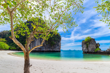 Hong Islands,Beautiful tropical sandy beach and lush green foliage on a tropical island ,thailand