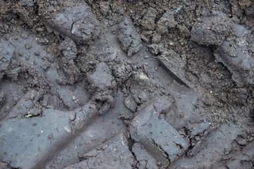 Top view of grey textured dry mud seamless background