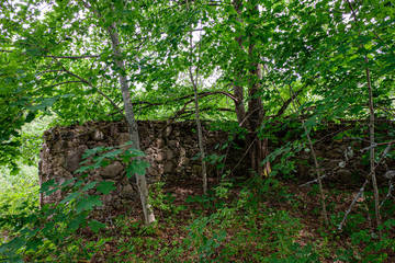 old stone brick wall in green forest