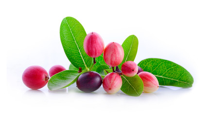 bengal-currants, carandas-plum, on a white background