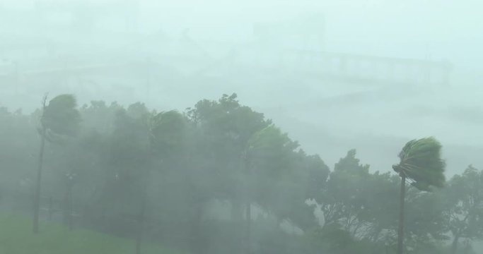 Hurricane Eye Wall Whiteout Rain And Violent Wind - Megi