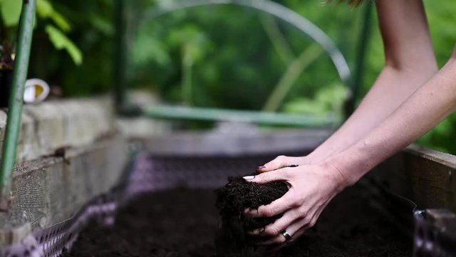 Woman  holding fertile soil in her hands