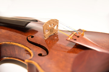 Naklejka na ściany i meble violin on white background
