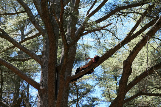 Femme allonger branche d'arbre