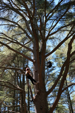 Femme grimper dans arbre