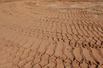 The mark of heavy vehicle tires that have gone through a soft ground area.