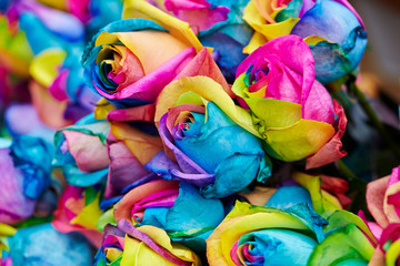 Fototapeta na wymiar Multi colored dyed roses at flower shop 