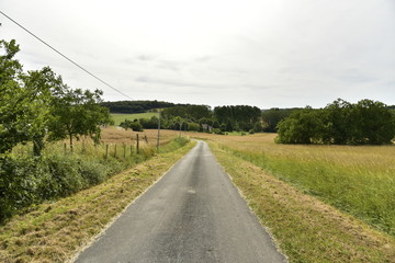 Fototapeta na wymiar Route de campagne à contre-jour entre les bourgs de Champagne et Vendoire au Périgord Vert 