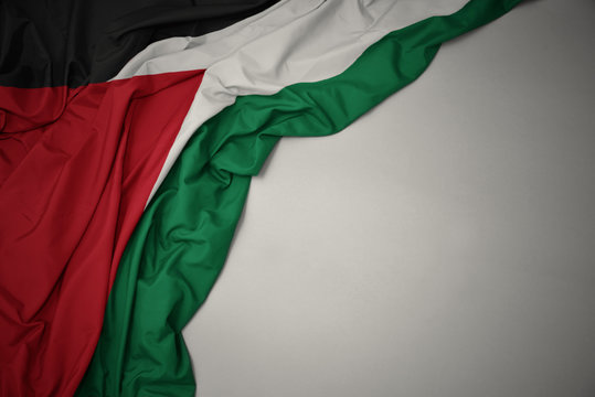 waving national flag of palestine on a gray background.