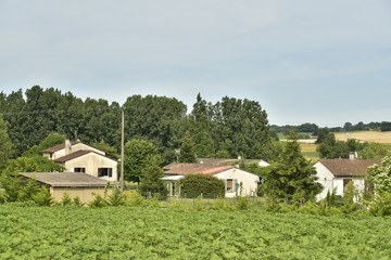 Fototapeta na wymiar Petit lotissement de bungalows en pleine nature au bourg de Champagne au Périgord Vert