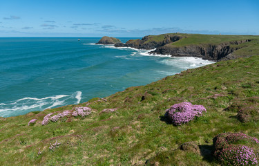 Cliffs Cornish Coast