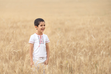 A smile boy holds wheat spikes on the field