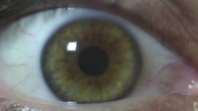 Green-brown eye of a beautiful young girl close-up. Blinking and constriction of the pupil. Macro shooting