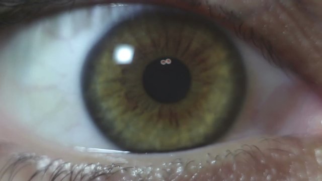 Green-brown eye of a beautiful young girl close-up. Blinking and constriction of the pupil. Macro shooting