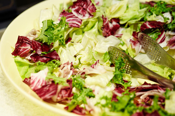 fresh salad