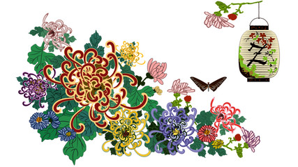 Chrysanthemum blossoms, Chinese lantern and butterfly vector image. Beautiful colors and composition of large chrysanthemum flowers with leaves. Great for greeting cards, wedding invitations and more.