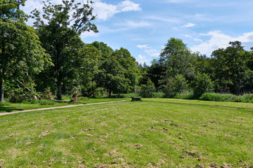 Scottish Forrest Walks in Summer Throught the Magical Scottish Forrests.