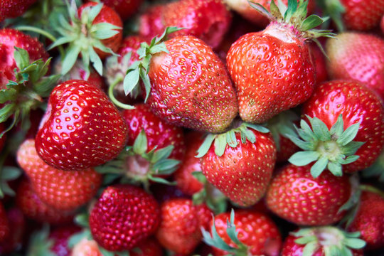 Background from freshly harvested strawberries, Top view of tasty