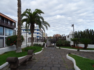 Fototapeta premium Puerto de la Cruz, Tenerife