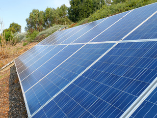 Solar panels in the garden