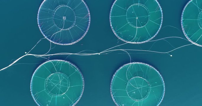 AERIAL: Salmon fish farm near Bergen, Norway.