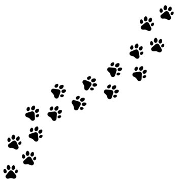 Black footprints of dogs. Paw print, animal tracks – stock vector