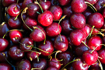 Ripe washed cherries