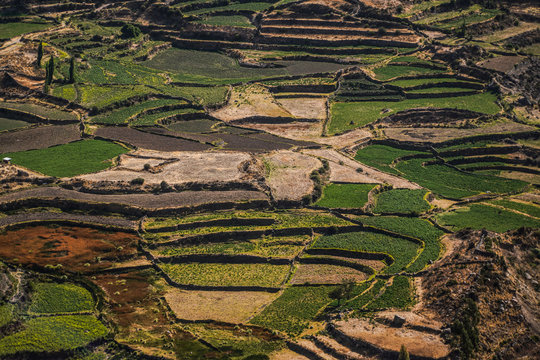 Terrazas milenarias en Per&uacute;