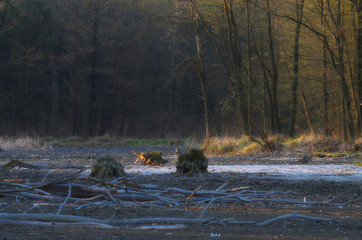 Dwa światy © Tomek Kiecana