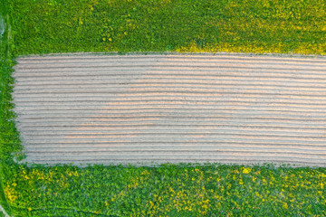 Plowing land furrows for planting agronomical plants among the countryside of grass and meadows trees, aerial view from above.